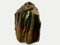 Fossile teeth, Burma
