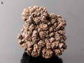 Fossilized "Acorn", Mogok, Burma