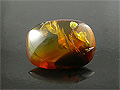 Burma Amber Square Cabochon, Burma