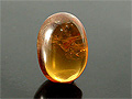 Burma Amber Oval Cabochon, Burma
