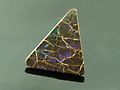 Cut Ammolite