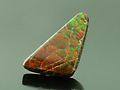 Cut Ammolite