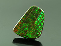 Cut Ammolite