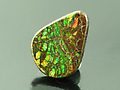 Cut Ammolite