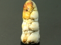 Teeth Fossil, Mogok, Burma