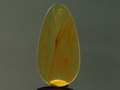 Burma Amber Cabochon, Mogok, Burma
