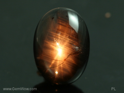 12 Rays Myanmar Black Star Sapphire Cabochon, , 16.97 cts, 12.86 x 6.57 x 18.19 x mm