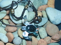 Turtle Necklace
