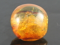 Burmese Amber Cabochon, Mogok, Burma