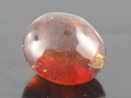 Burmese Amber Cabochon, Mogok, Burma
