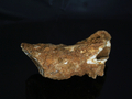 "Fossil" Bone, Mogok, Myanmar