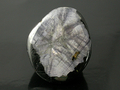 Silver on Black Sapphire Cab, Burma