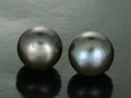 Fresh Water Pearl Earrings