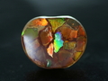 Mosaic Stone (Ammolite)