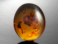 Amber Cabochon