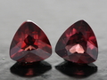 Rhodolite Garnet Cut pair