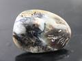 Shell, Myanmar