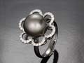 Black Pearl  Silver Ring