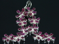Ruby Earrings with 925 Silver